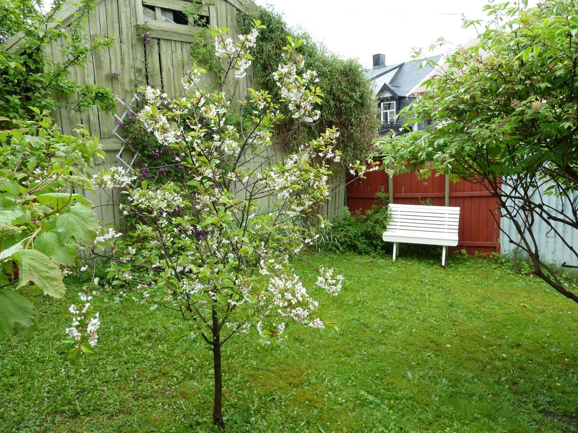 Red Old House Tromso Apartment المظهر الخارجي الصورة